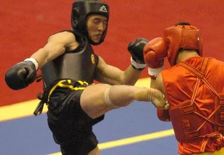 85版本男散打,準確資料解釋定義_D版_v1.457