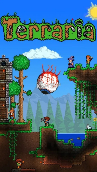 泰拉瑞拉最新版本,動態(tài)解析說明-限量版_v2.905