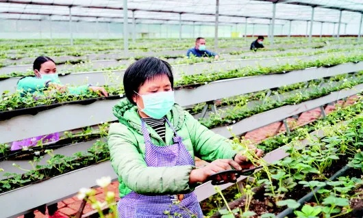 黃瓜視頻最新版本,穩(wěn)定設計解析 T_v7.546