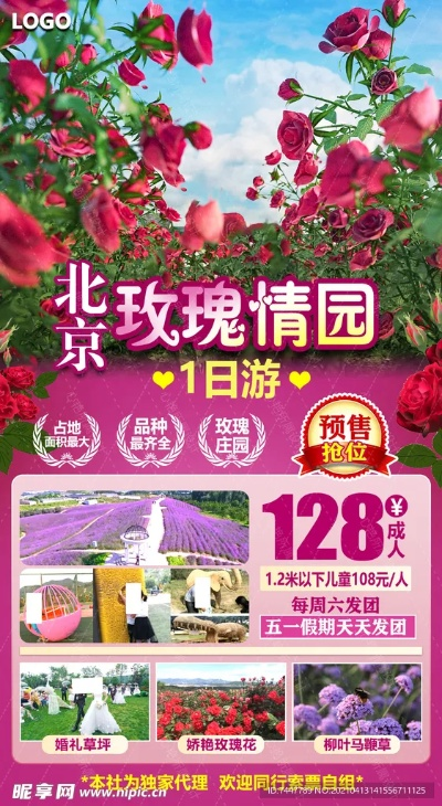 玫瑰莊園下載官方,可靠計(jì)劃執(zhí)行策略-Elite_v3.875